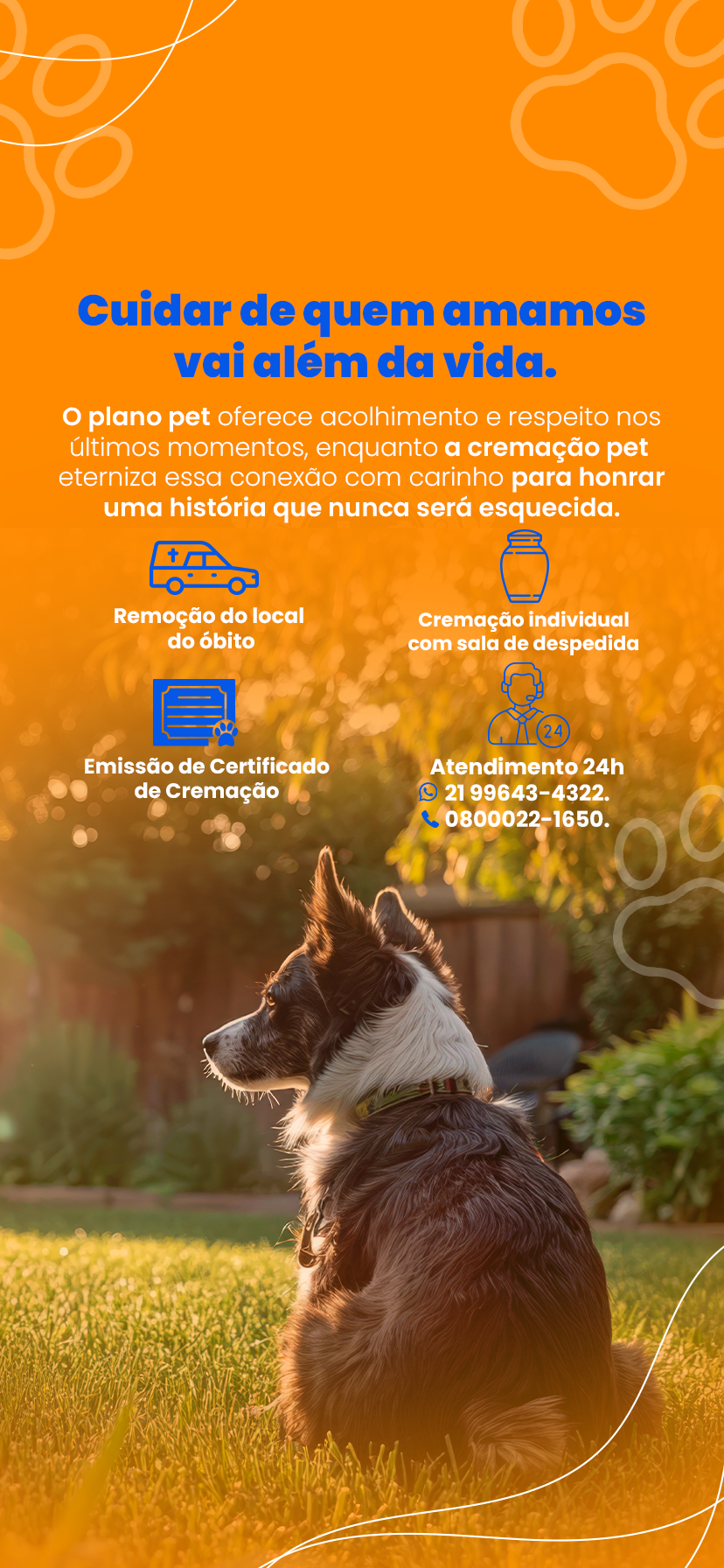 Plano Cremação Pet