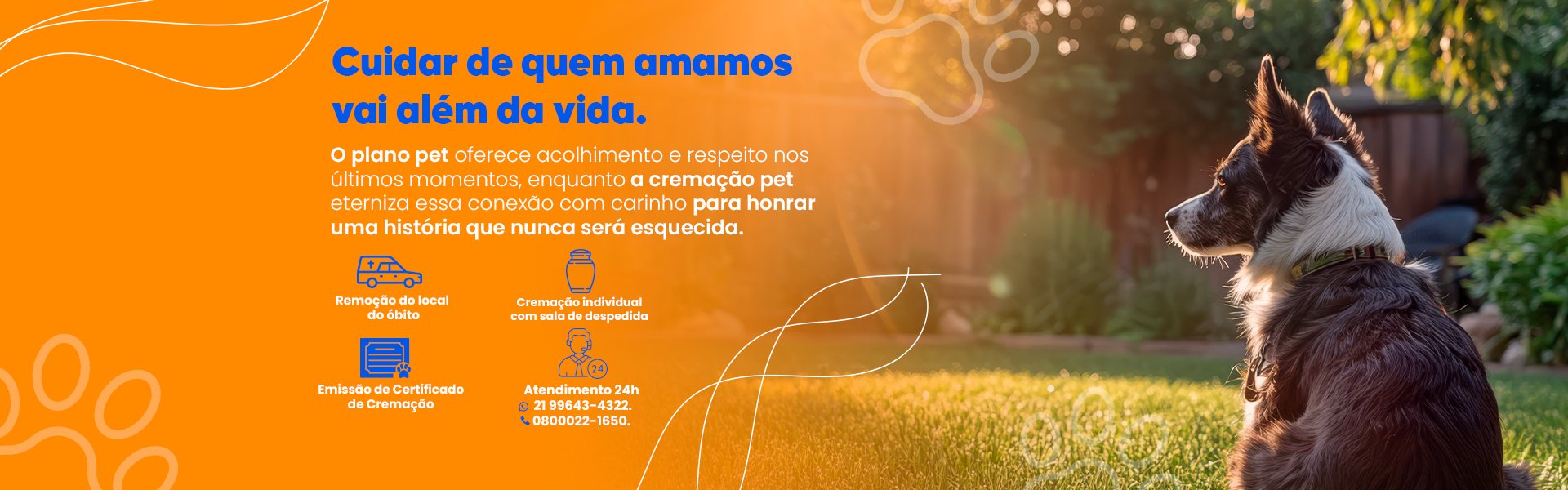 Plano Cremação Pet